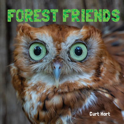 Forest Friends (Animal Lovers)