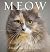 Meow by Anouska Jones Meow by Anouska Jones