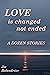 Love Is Changed Not Ended by Joe Babendreier