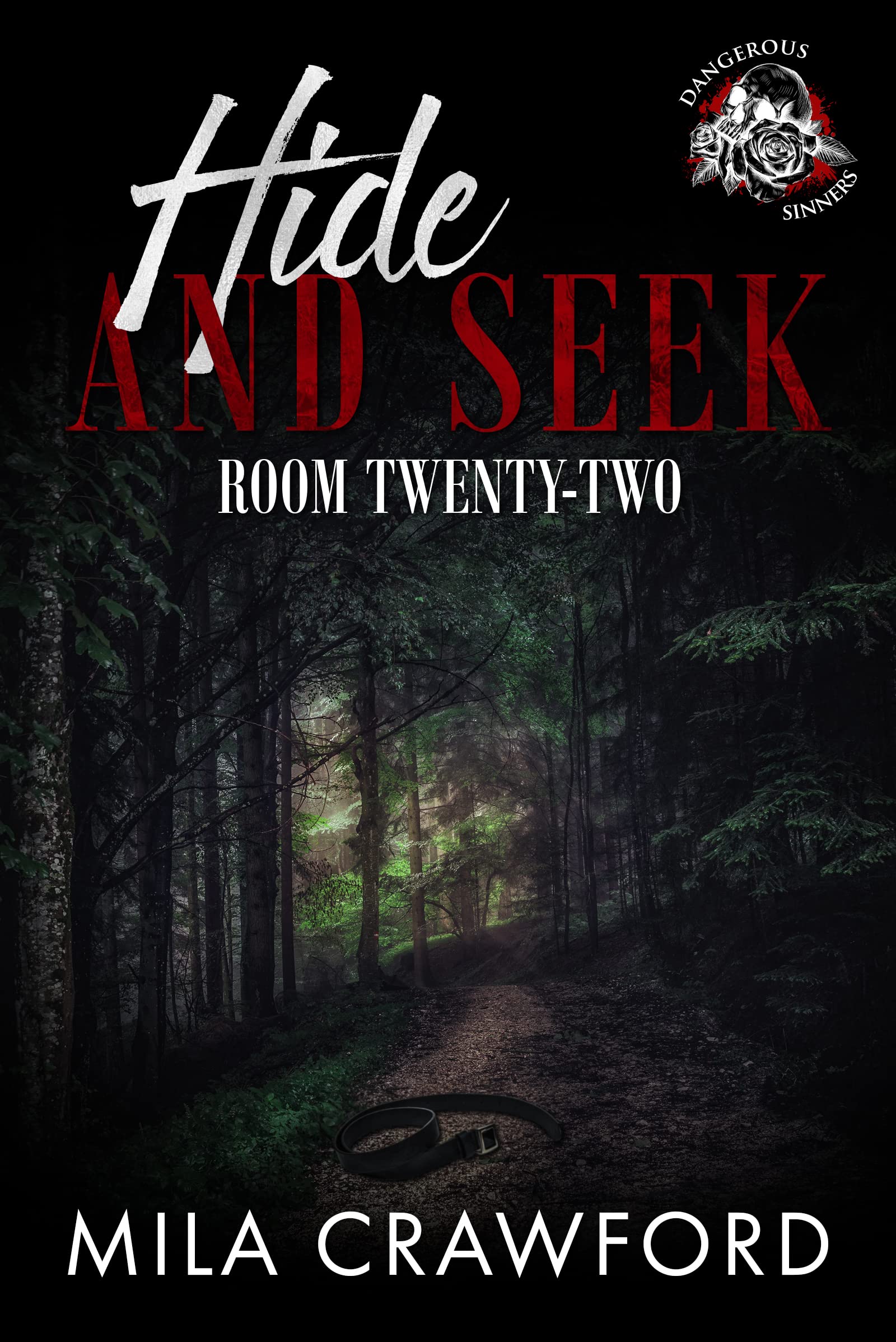 Hide And Seek (Dangerous Sinners, #2.5)