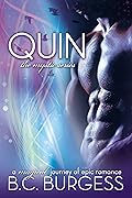 Quin: Mystic Series Stories