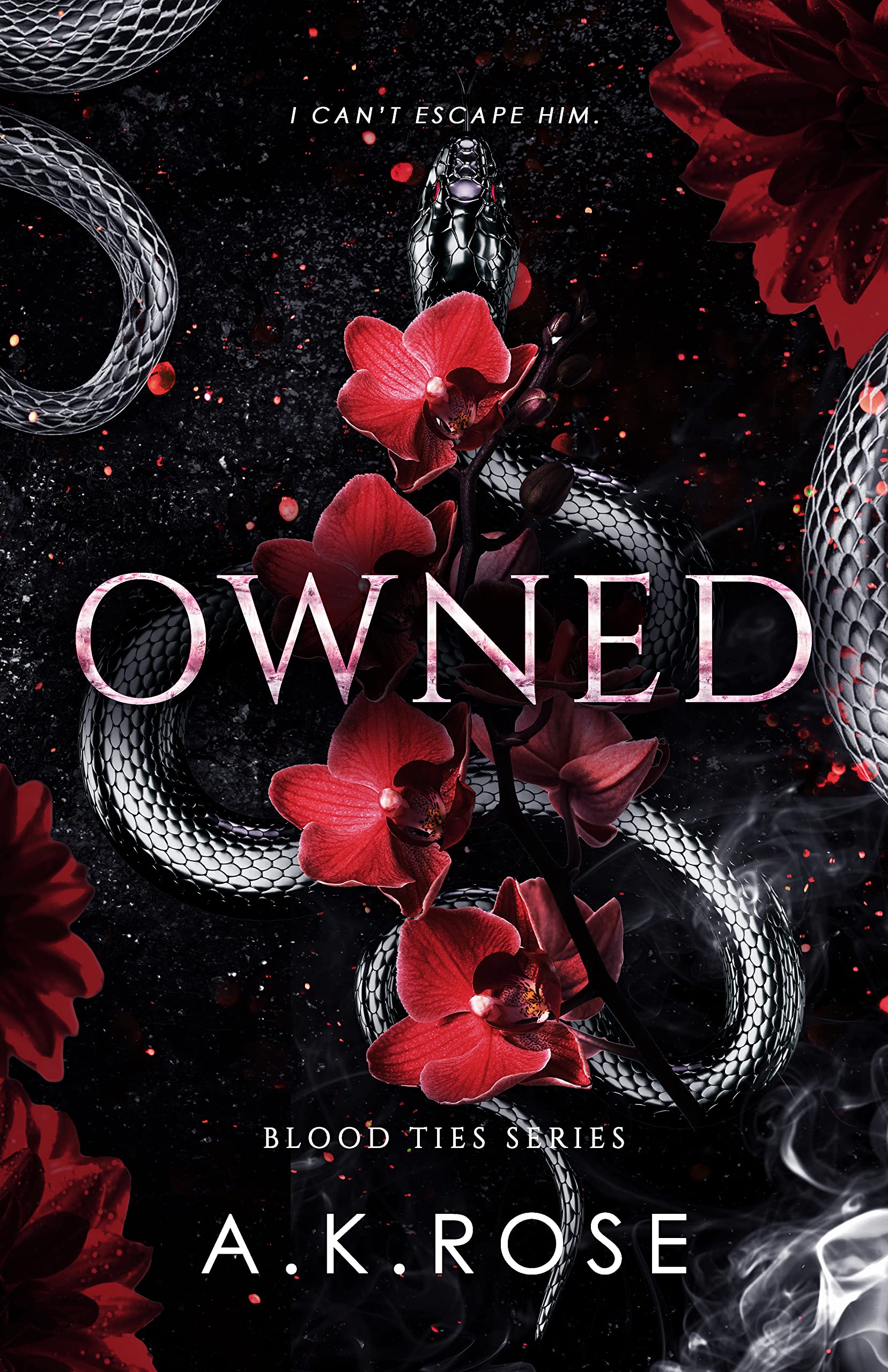 Owned (Blood Ties, #4)
