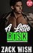 A Little Risk (Little Club ...