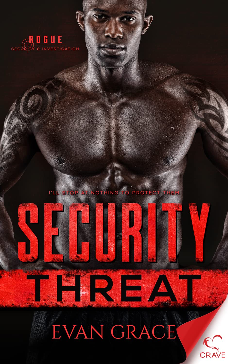 Security Threat (Rogue Security and Investigation Book 5)