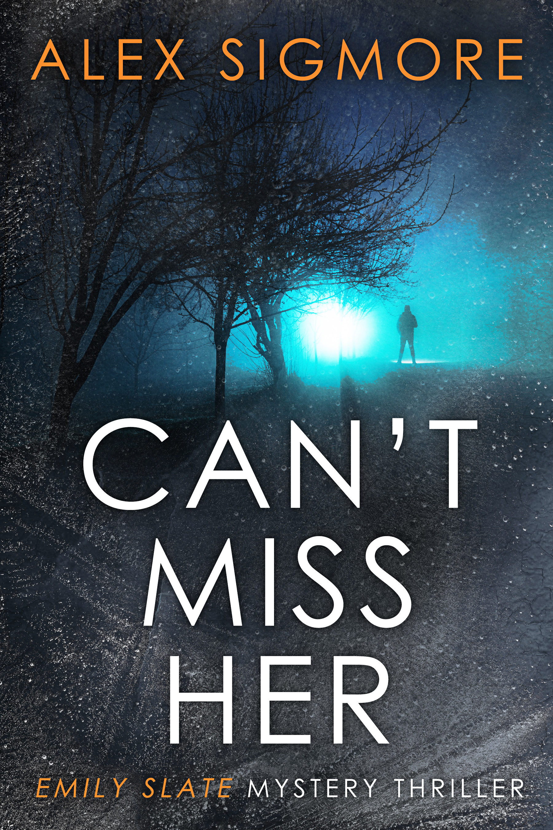 Can't Miss Her (Emily Slate #5)