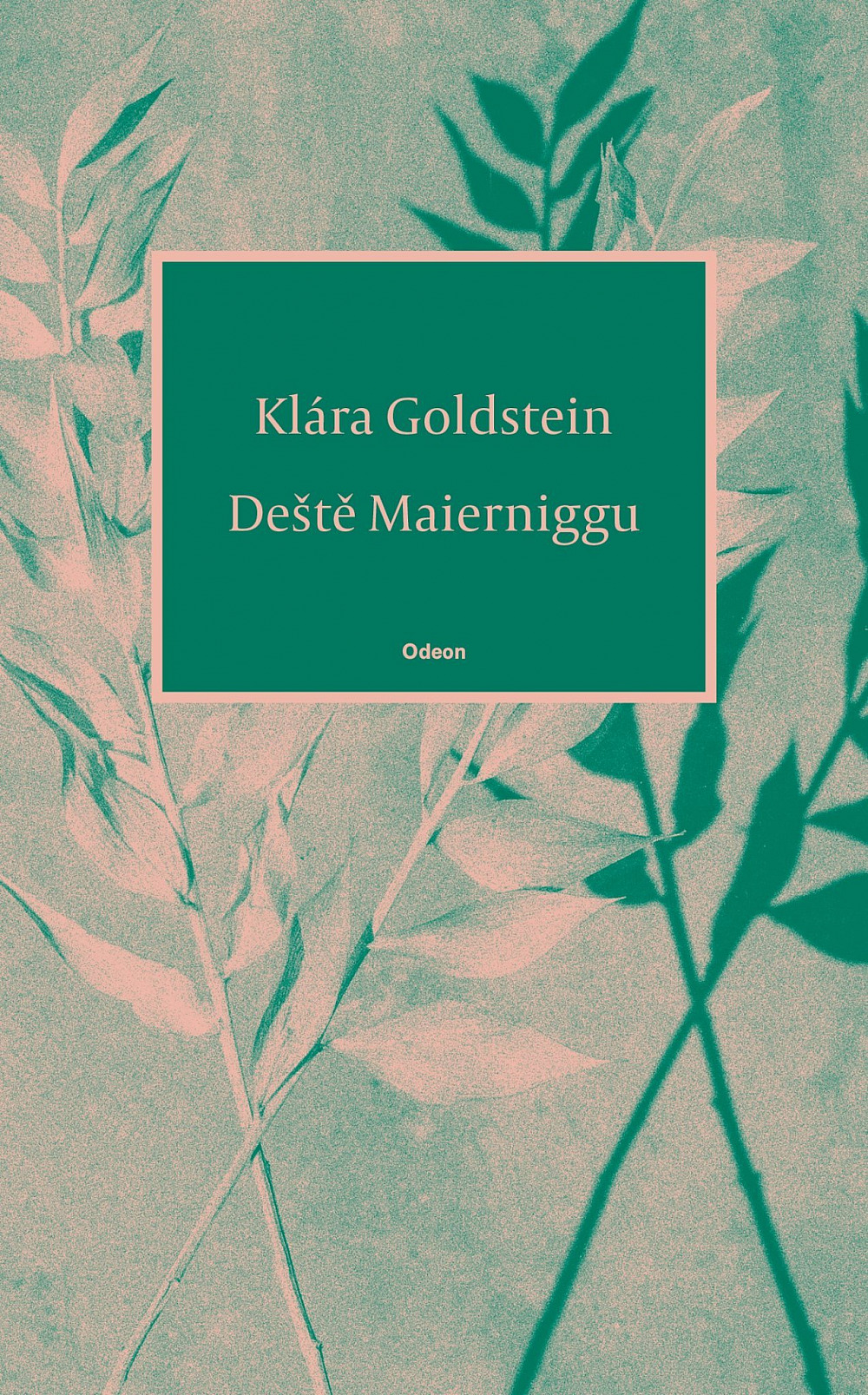 Deště Maierniggu (Paperback)