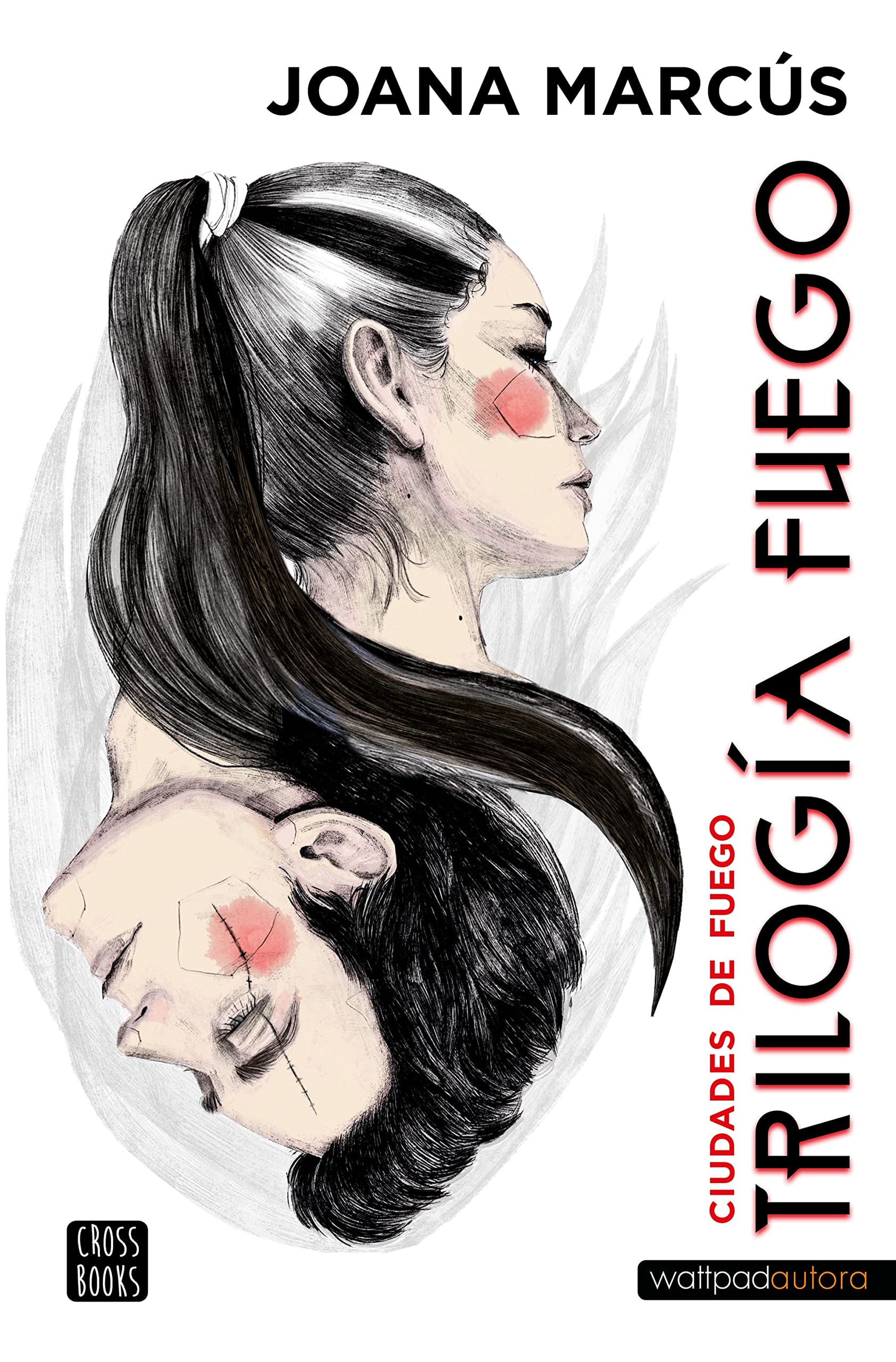 Ciudades de fuego (Fuego #3)