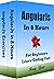 AngularJs by Ray Yao