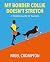 My Border Collie Doesn't Stretch: A Mobility Guide for Runners