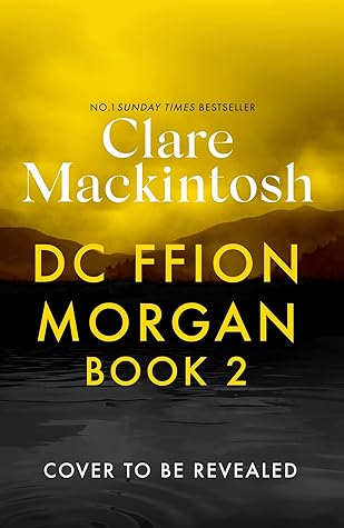 DC Ffion Morgan Book 2 (DC Morgan)