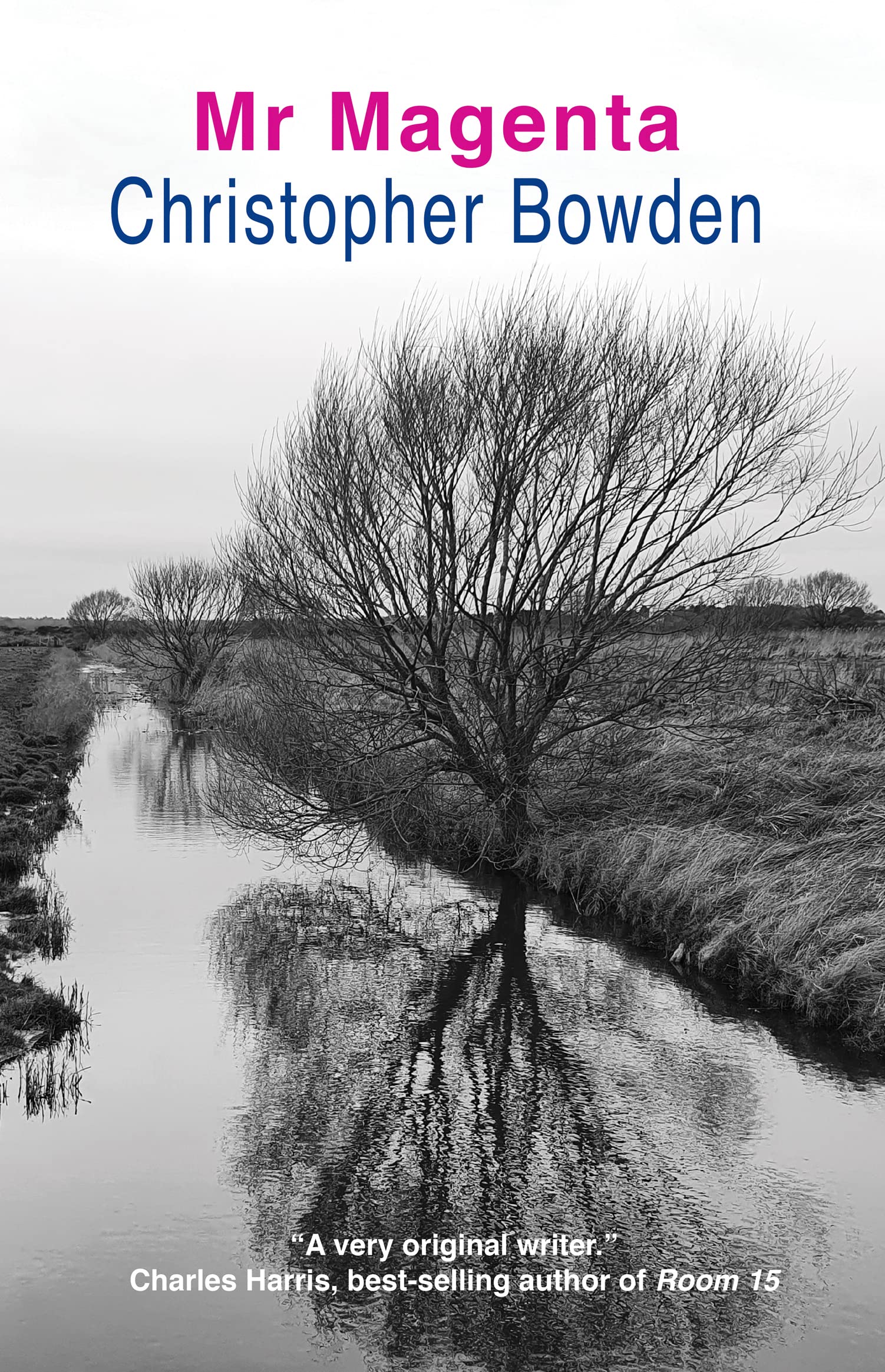 Mr Magenta (Kindle Edition)