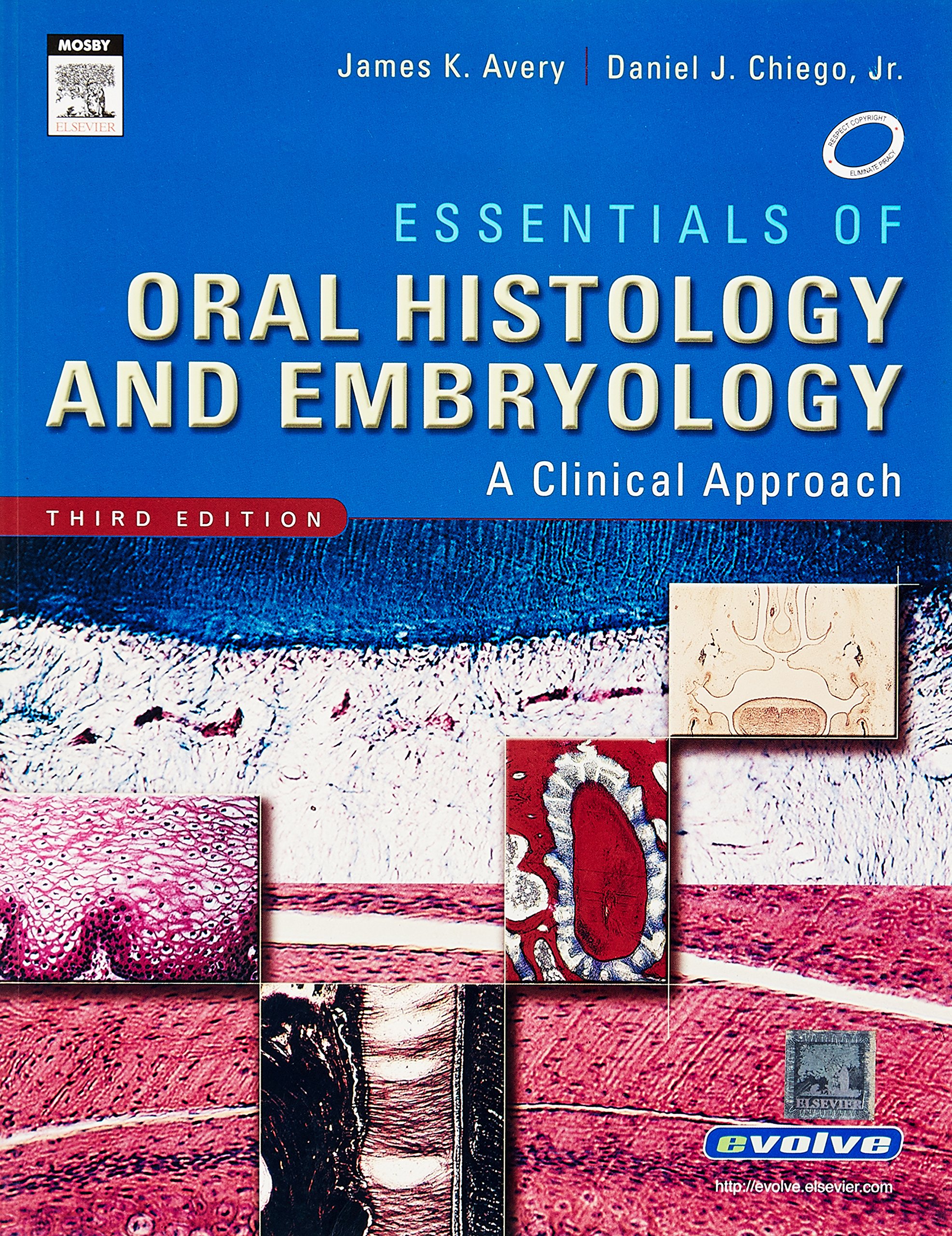 Essentials of Oral Histology & Embryology (3rd, 06) by Avery, James K - Chiego, Daniel J [Paperback (2005)]