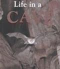 Life In A Cave