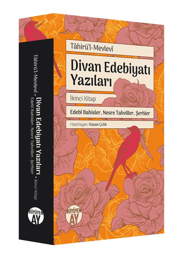 Divan Edebiyatı Yazıları - İkinci Kitap (Divan Edebiyatı Yazıları, #2)