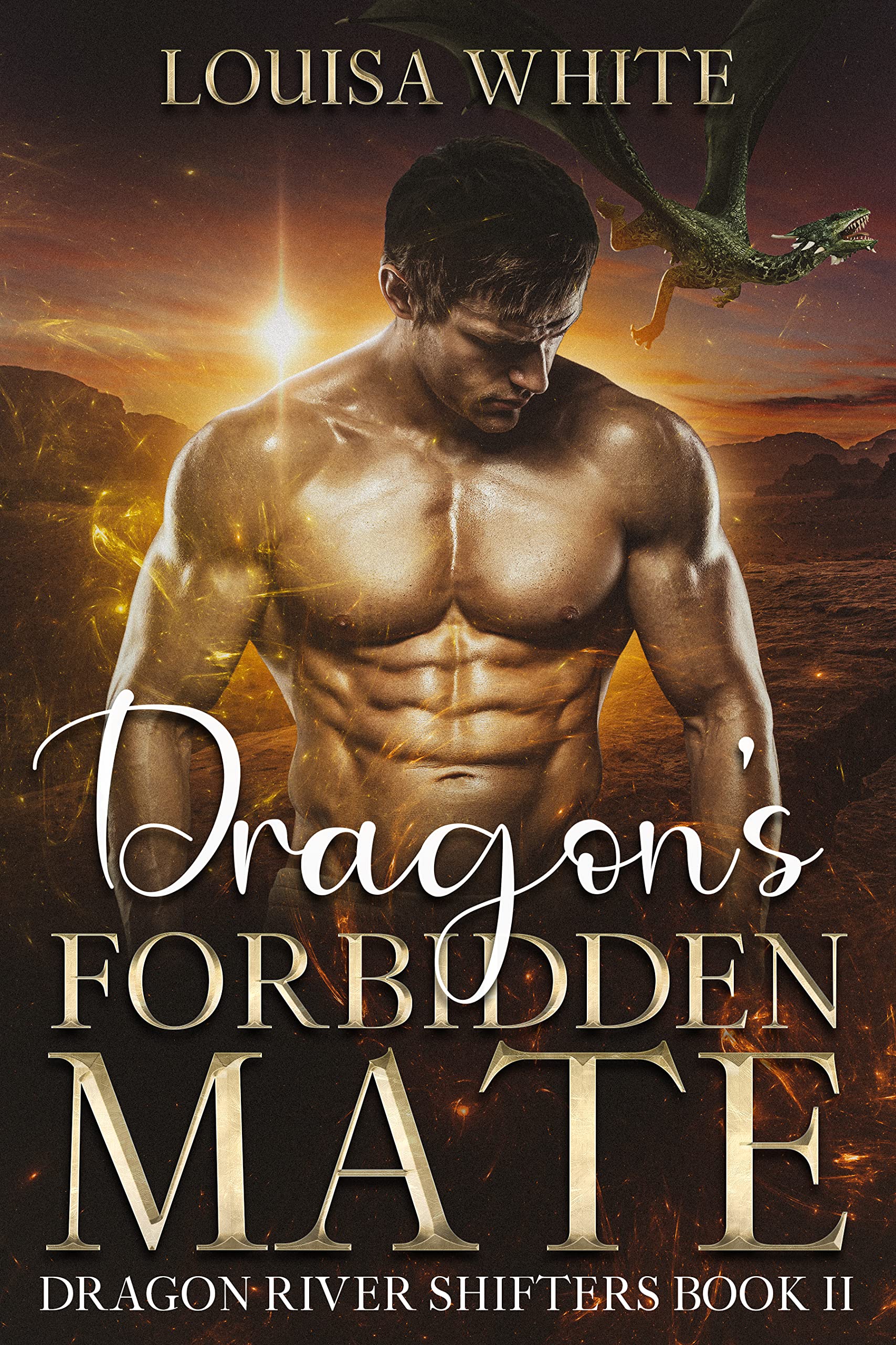 Dragon’s Forbidden Mate (Dragon River Shifters, #2)