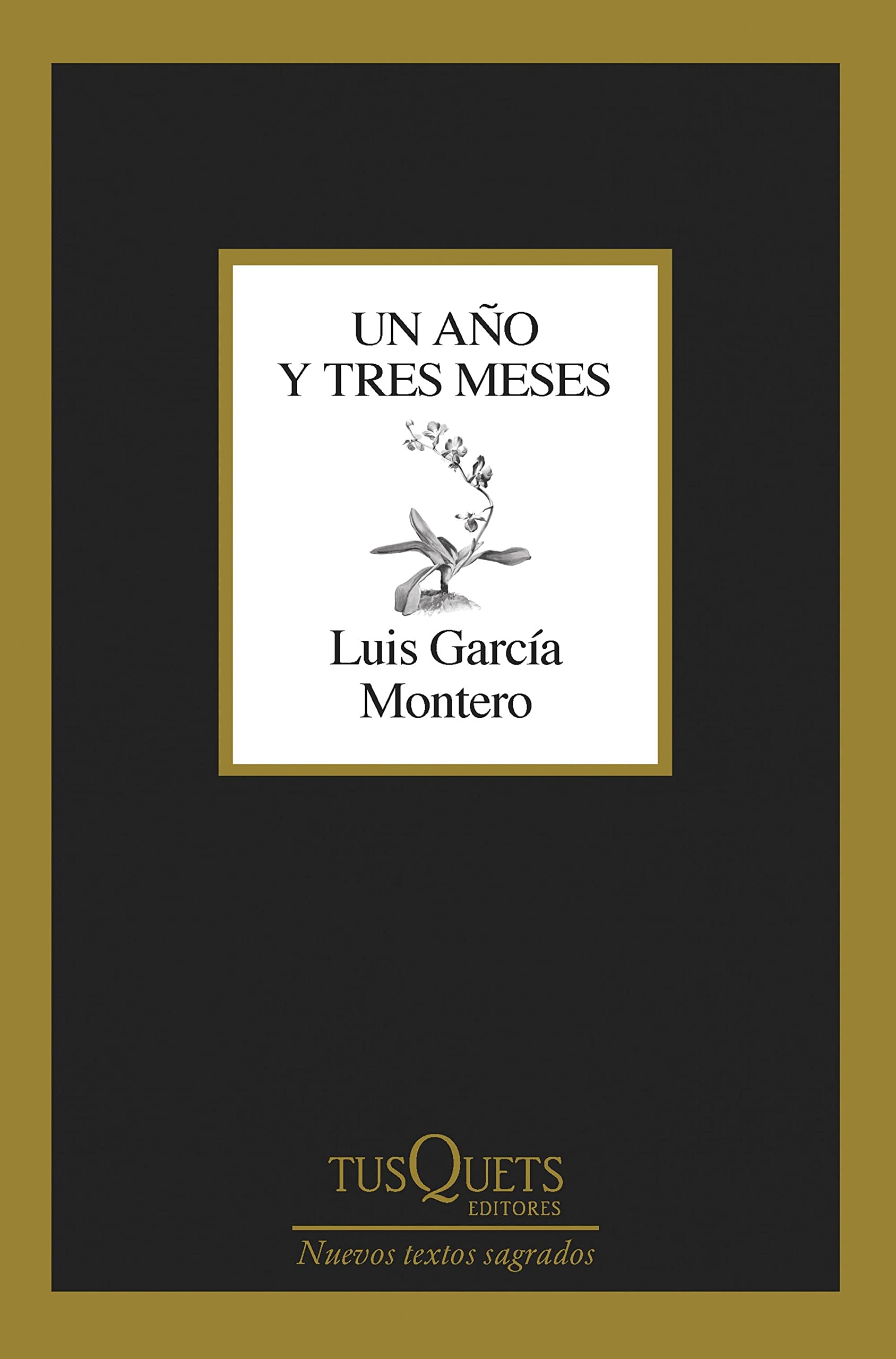Un año y tres meses (Kindle Edition)