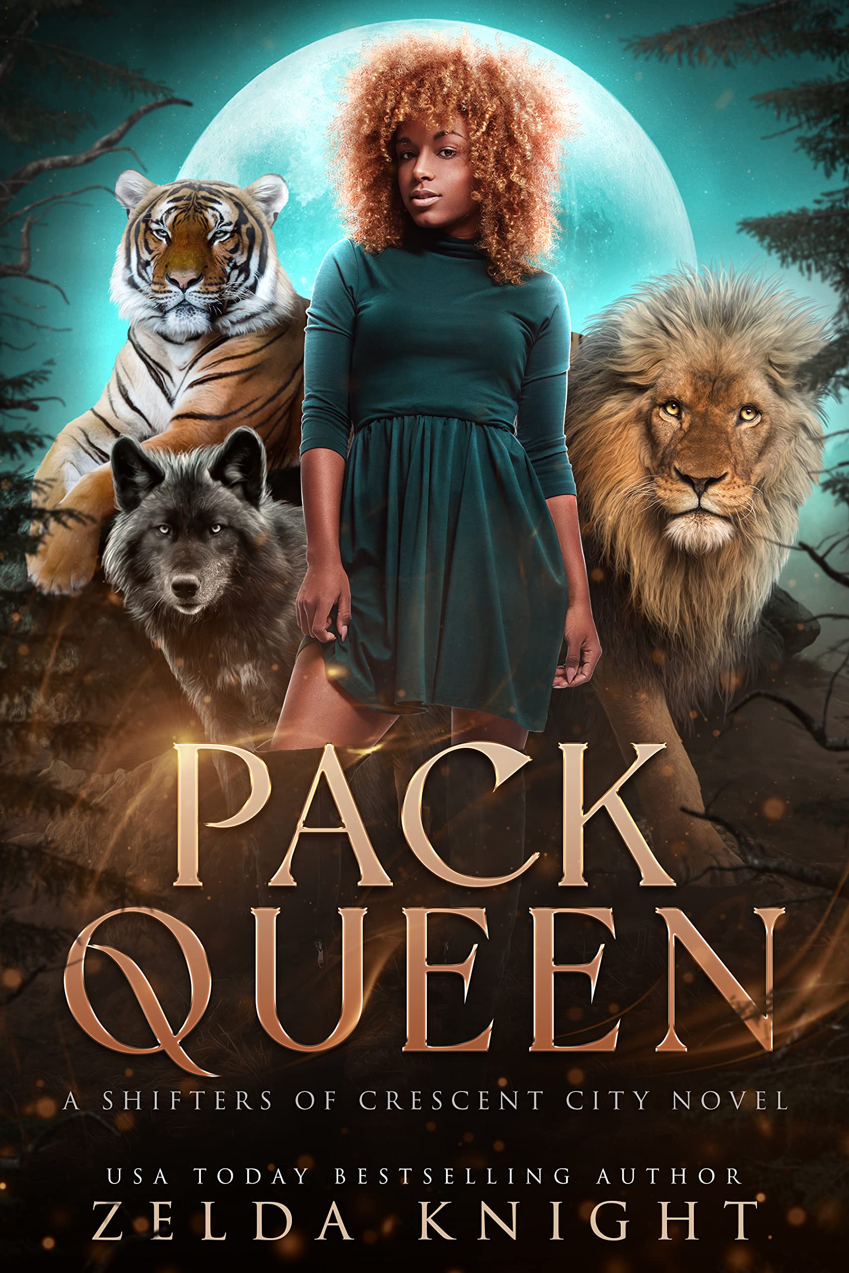 Pack Queen (Kindle Edition)