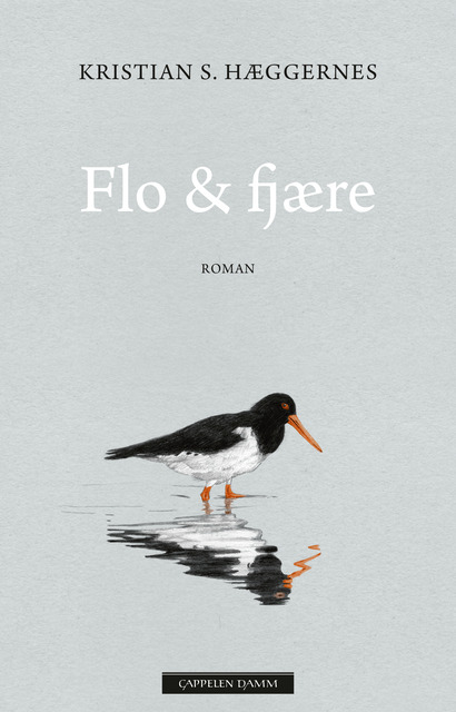 Flo & fjære (Hardcover)
