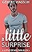 A Little Surprise by Gentry Wasson