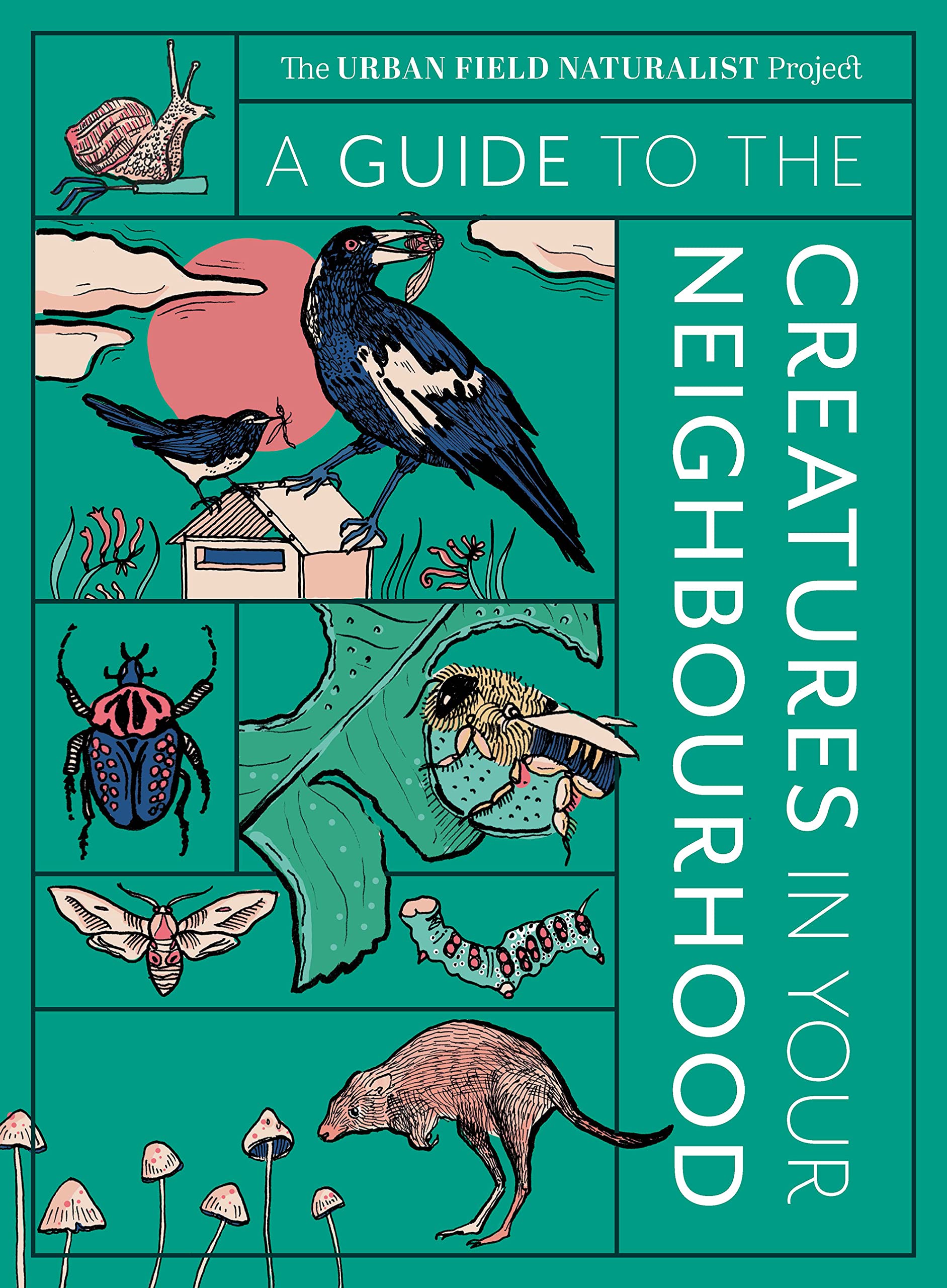 A Guide to the Creatures in Your Neighbourhood (Kindle Edition)