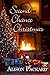 Second Chance Christmas