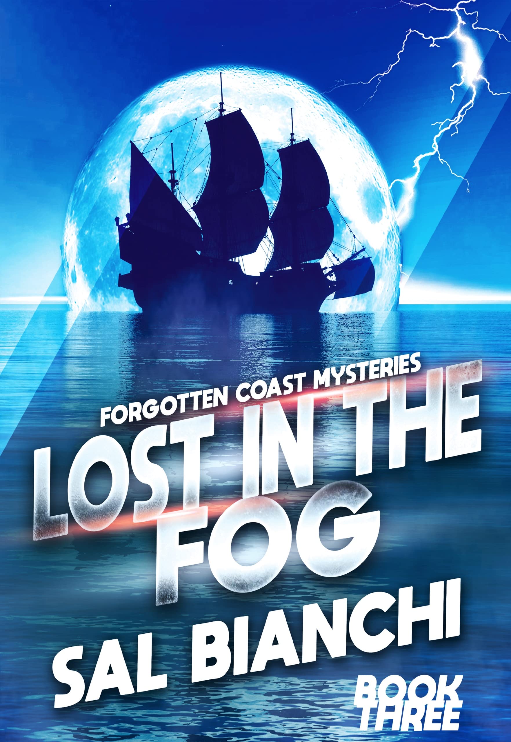 Lost in the Fog: A Forgotten Coast Mystery (Forgotten Coast Mysteries Book 3)