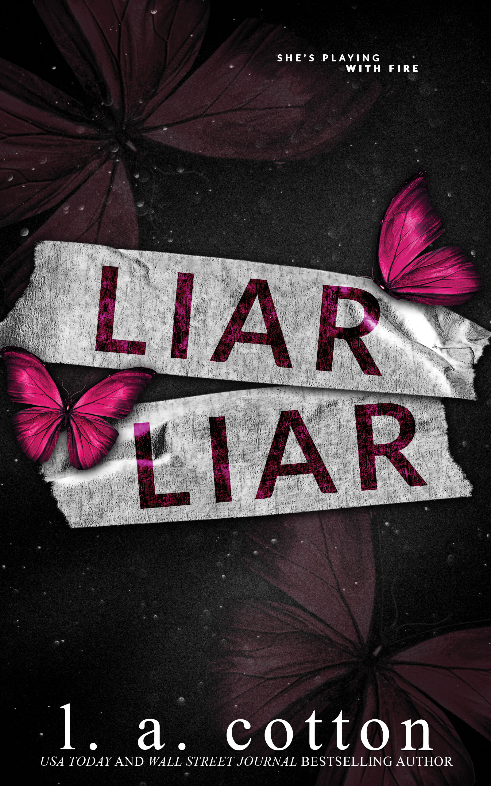 Liar Liar (Truths and Lies Duet, #1)