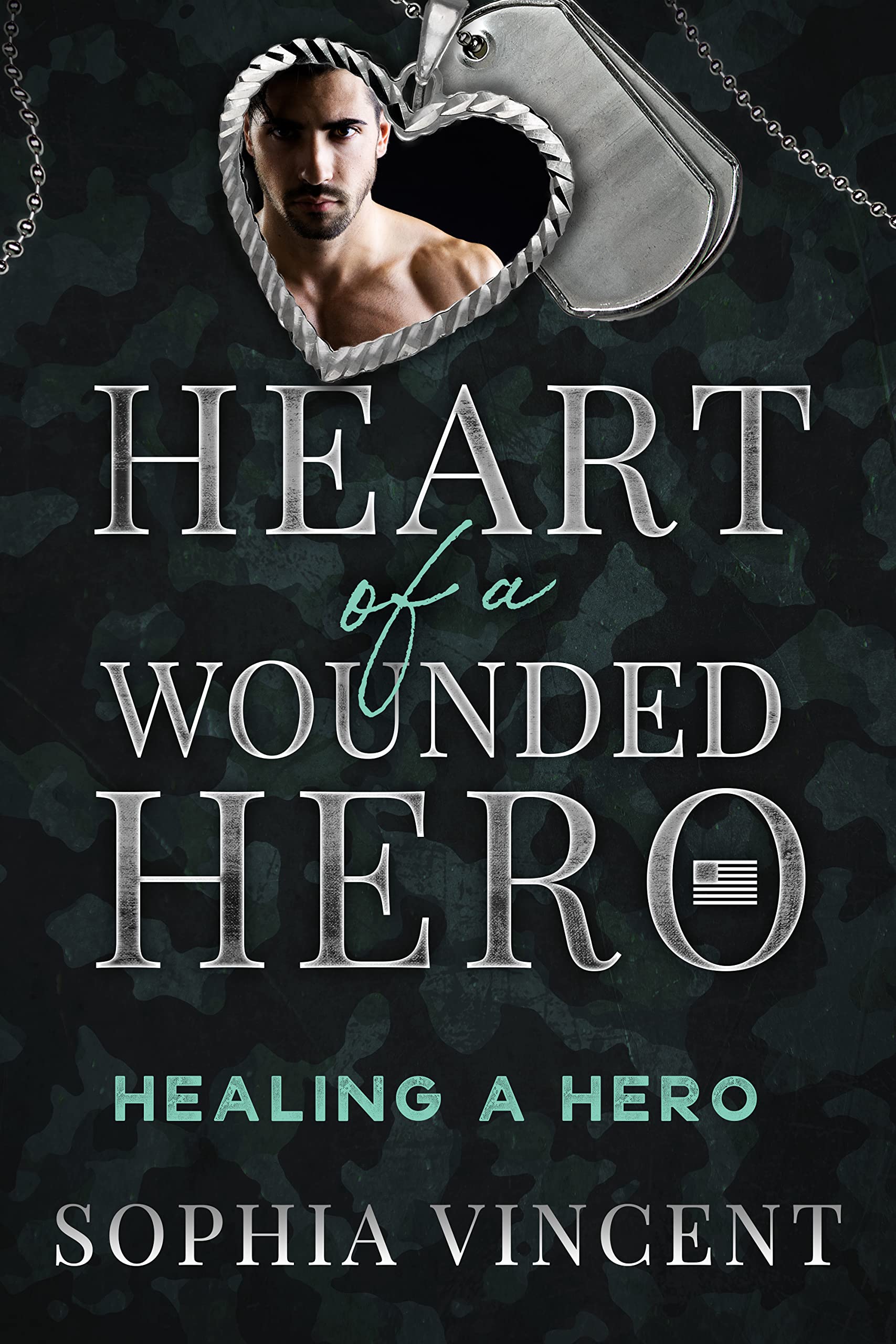 Healing A Hero: Heart of a Wounded Hero (Kindle Edition)