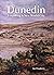 Dunedin by Ian Dougherty