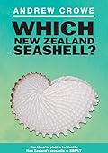 Which New Zealand Seashell?