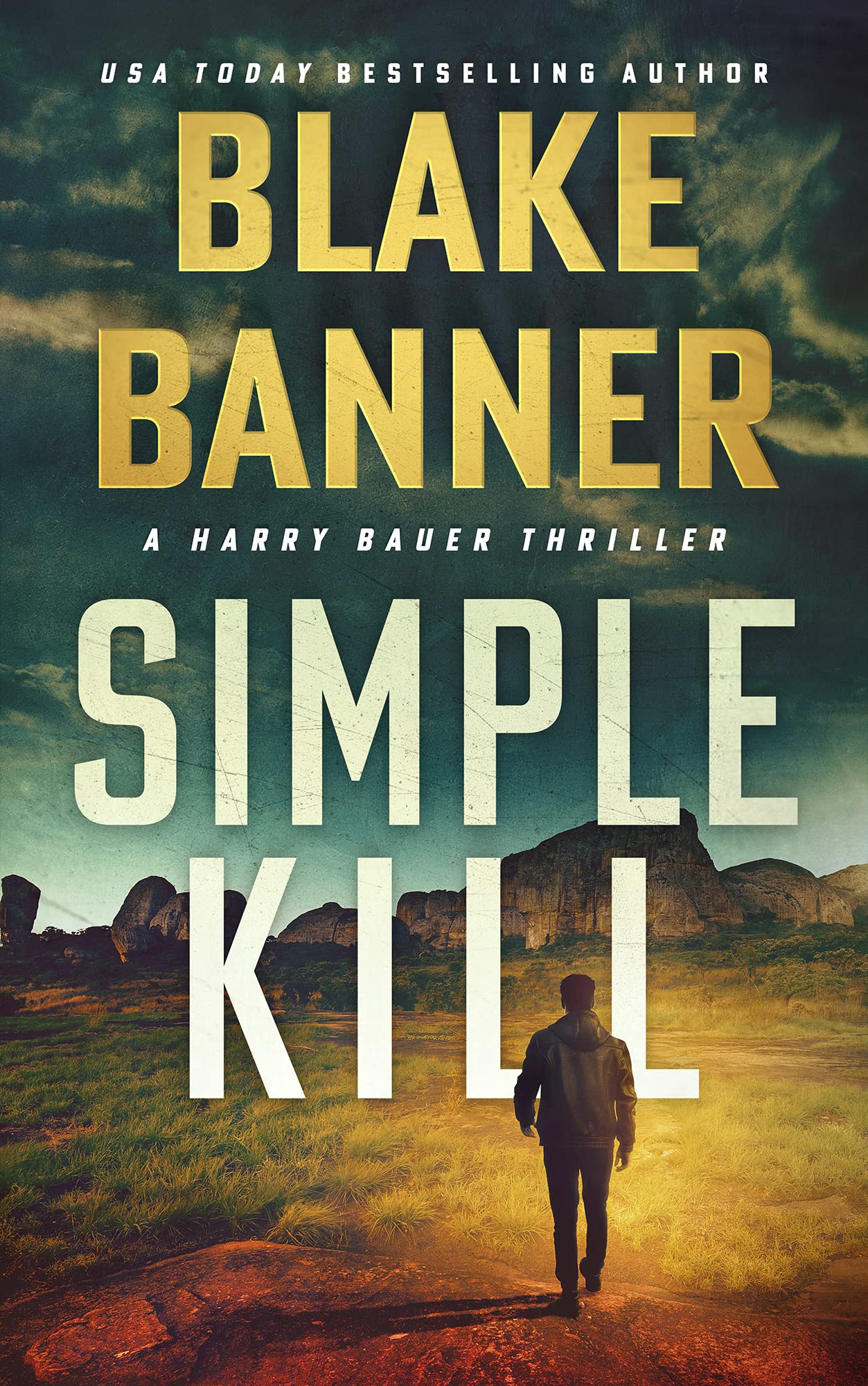 Simple Kill (Harry Bauer #14)