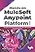 Hands-on MuleSoft Anypoint platform Volume 1: Designing and Implementing RAML APIs with MuleSoft Anypoint Platform (English Edition)