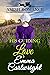 His Guiding Love: Amish Rom...
