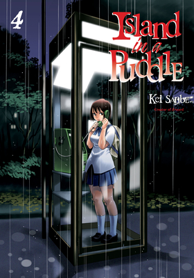 Island in a Puddle, Vol. 4 (Paperback)
