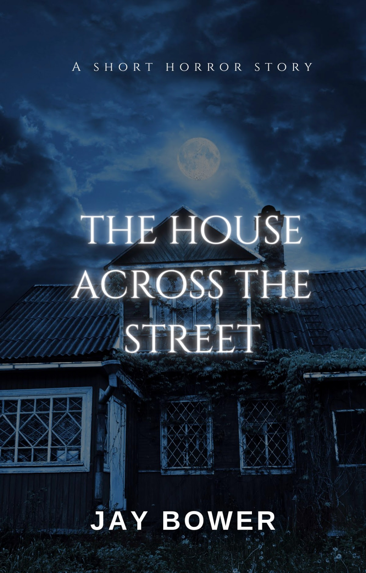 The House Across the Street (Kindle Edition)