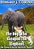 The Dog Who Escaped The Ele...