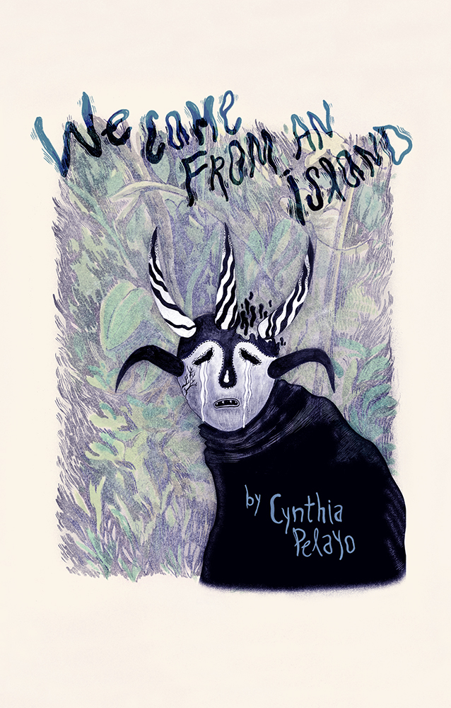We Came From an Island (Hardcover)