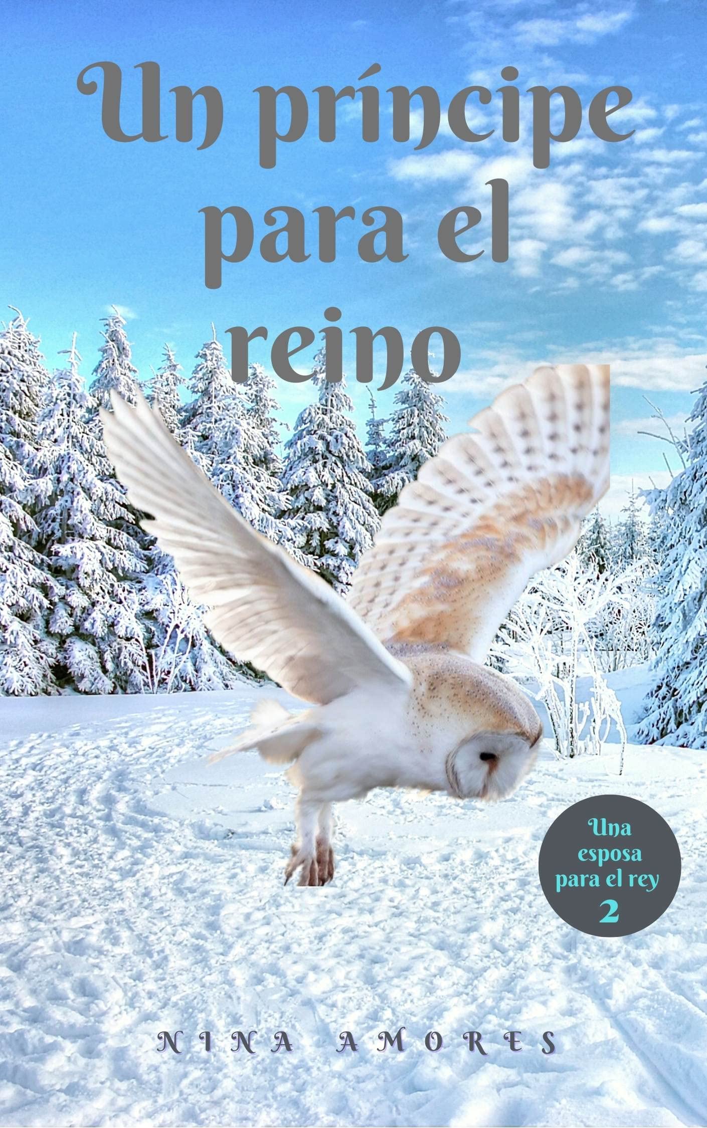 Un Príncipe para el Reino (Los Reyes de Encenard #2)
