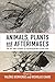 Animals, Plants and Afterim...