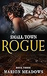 Small Town Rogue