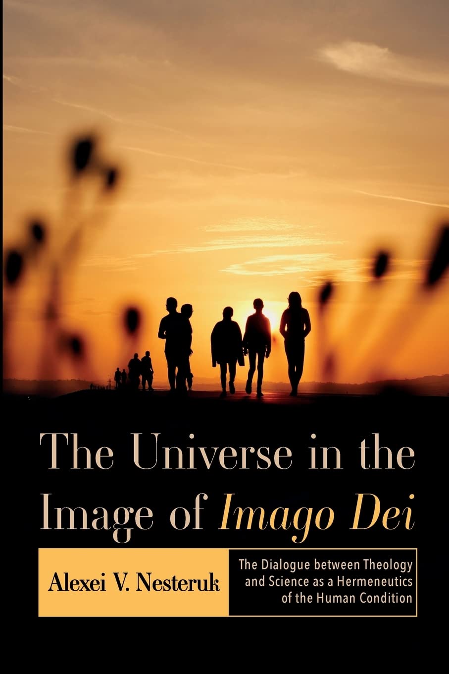 The Universe in the Image of Imago Dei: The Dialogue between Theology and Science as a Hermeneutics of the Human Condition (Paperback)