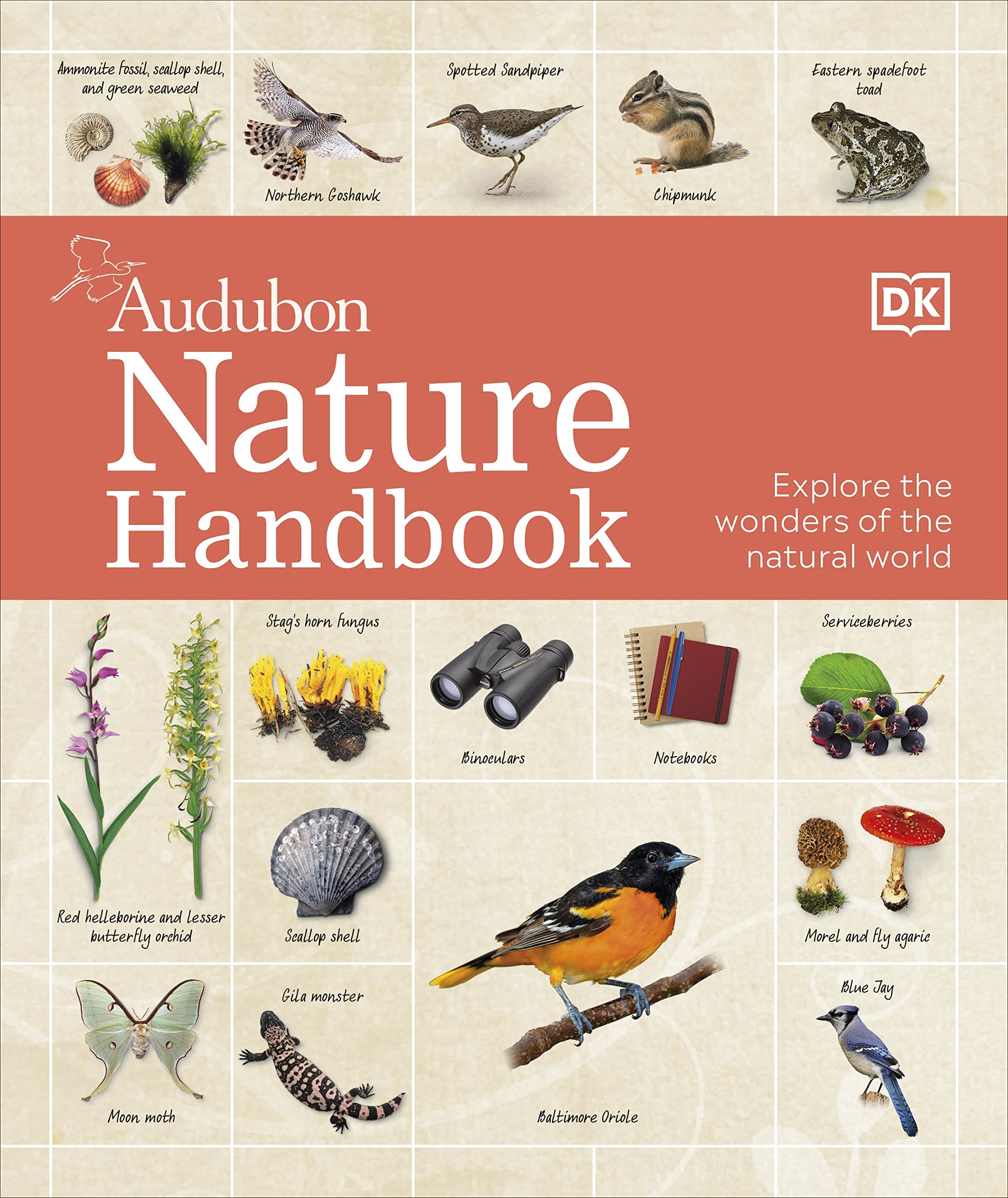 Nature Handbook: Explore the Wonders of the Natural World (Kindle Edition)
