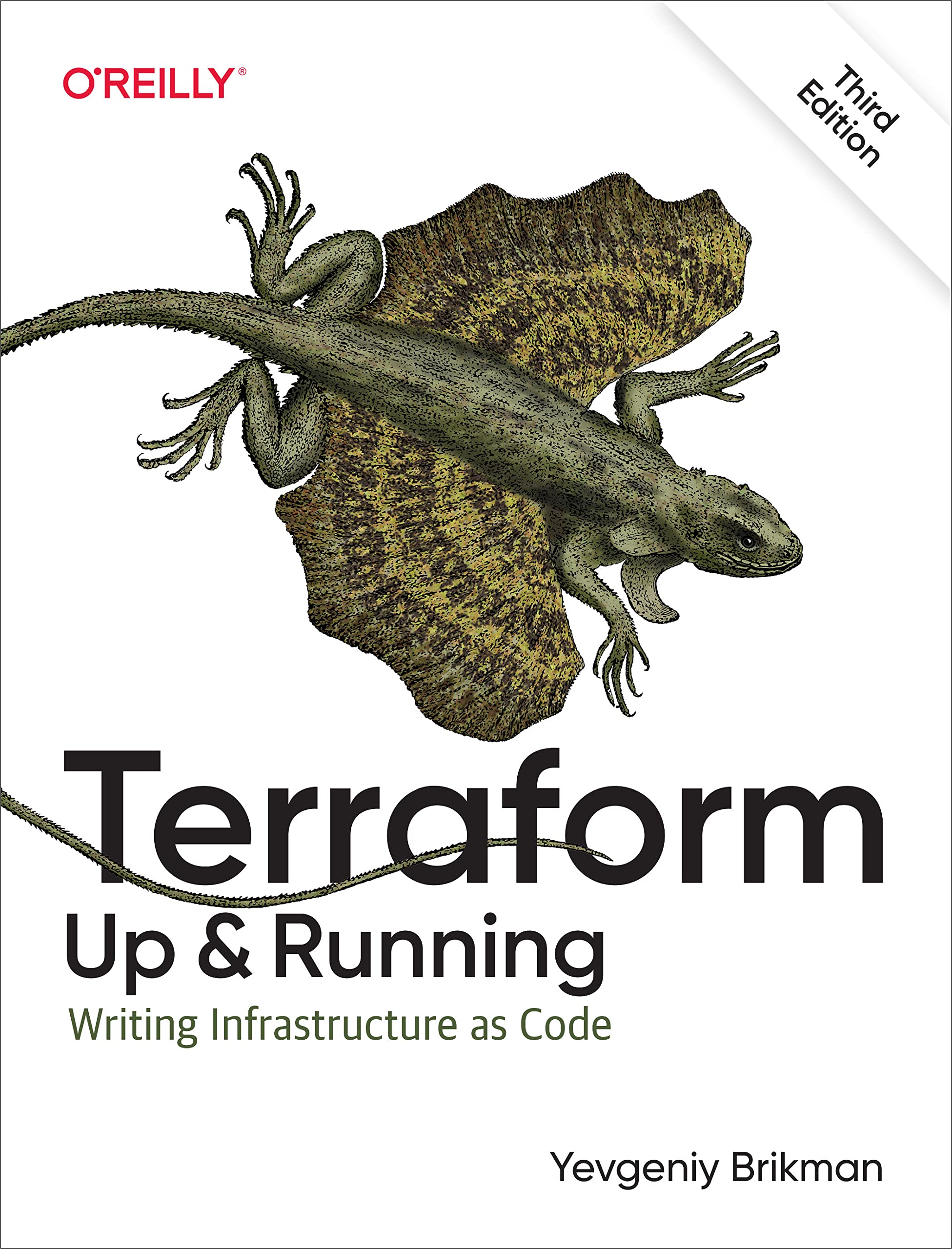 Terraform: Up and Running: Writing Infrastructure as Code (Kindle Edition)