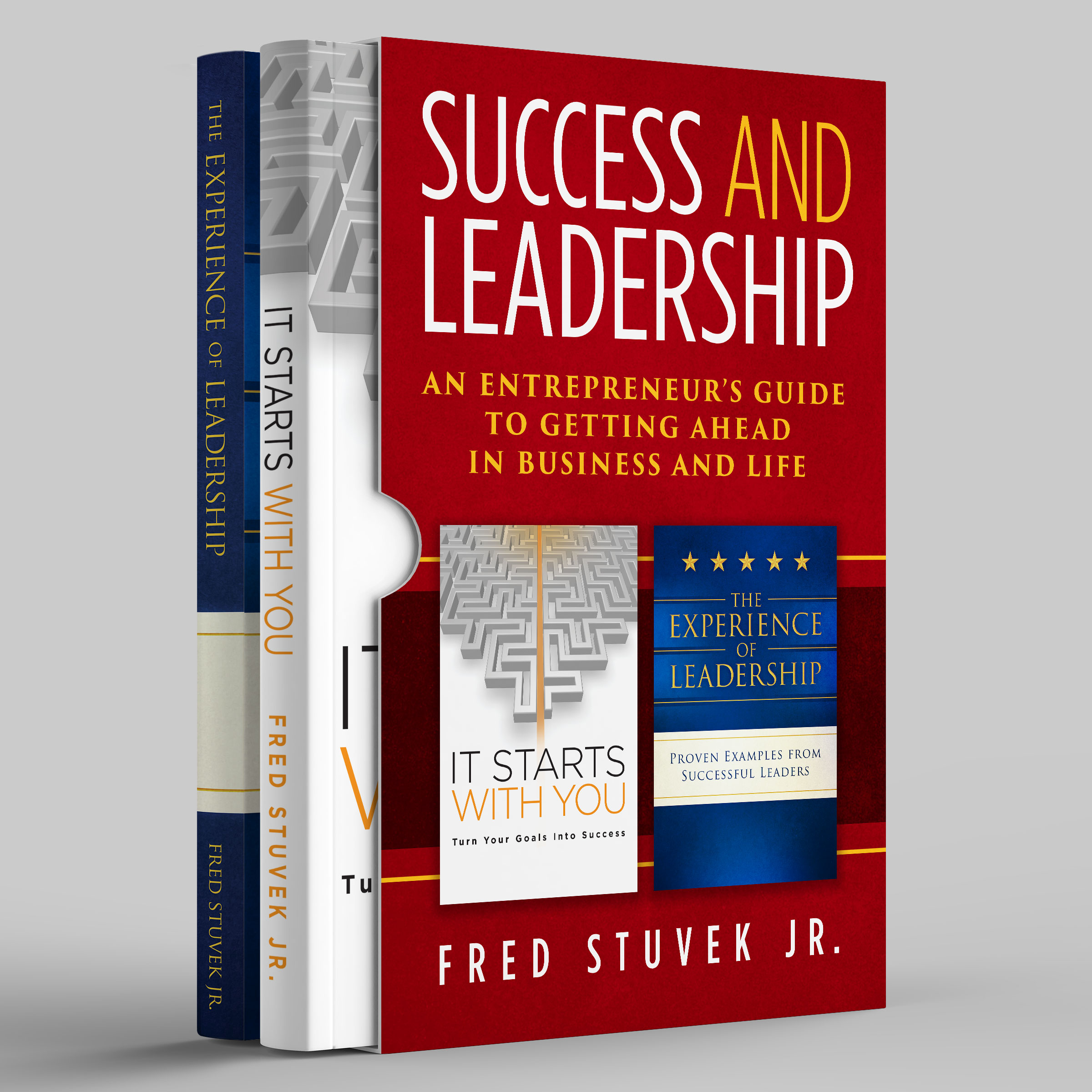 Success and Leadership Box Set: An Entrepreneur's Guide to Getting Ahead in Business and Life