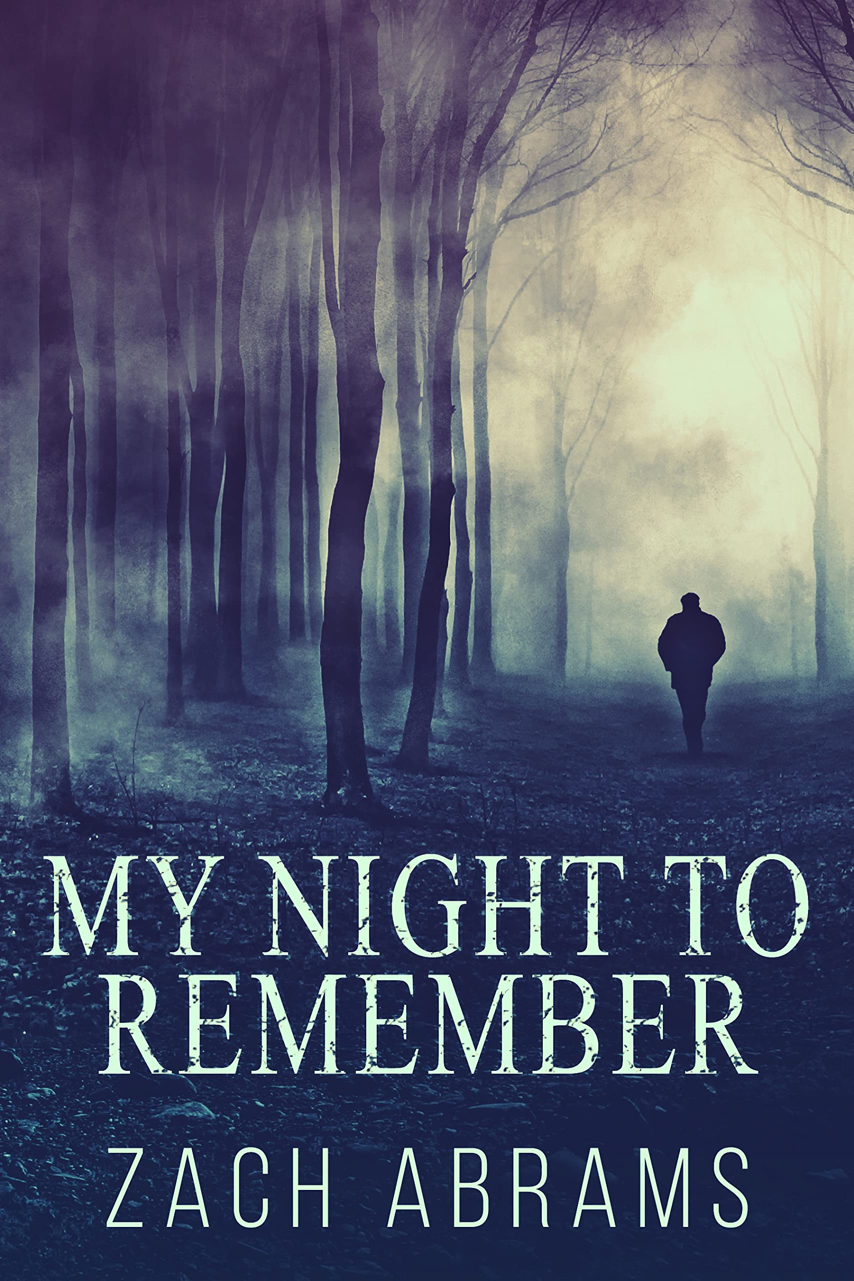 My Night To Remember (Alex Warren Murder Mysteries)