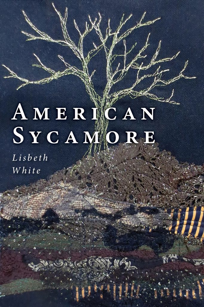 American Sycamore (Paperback)