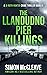 The Llandudno Pier Killings...