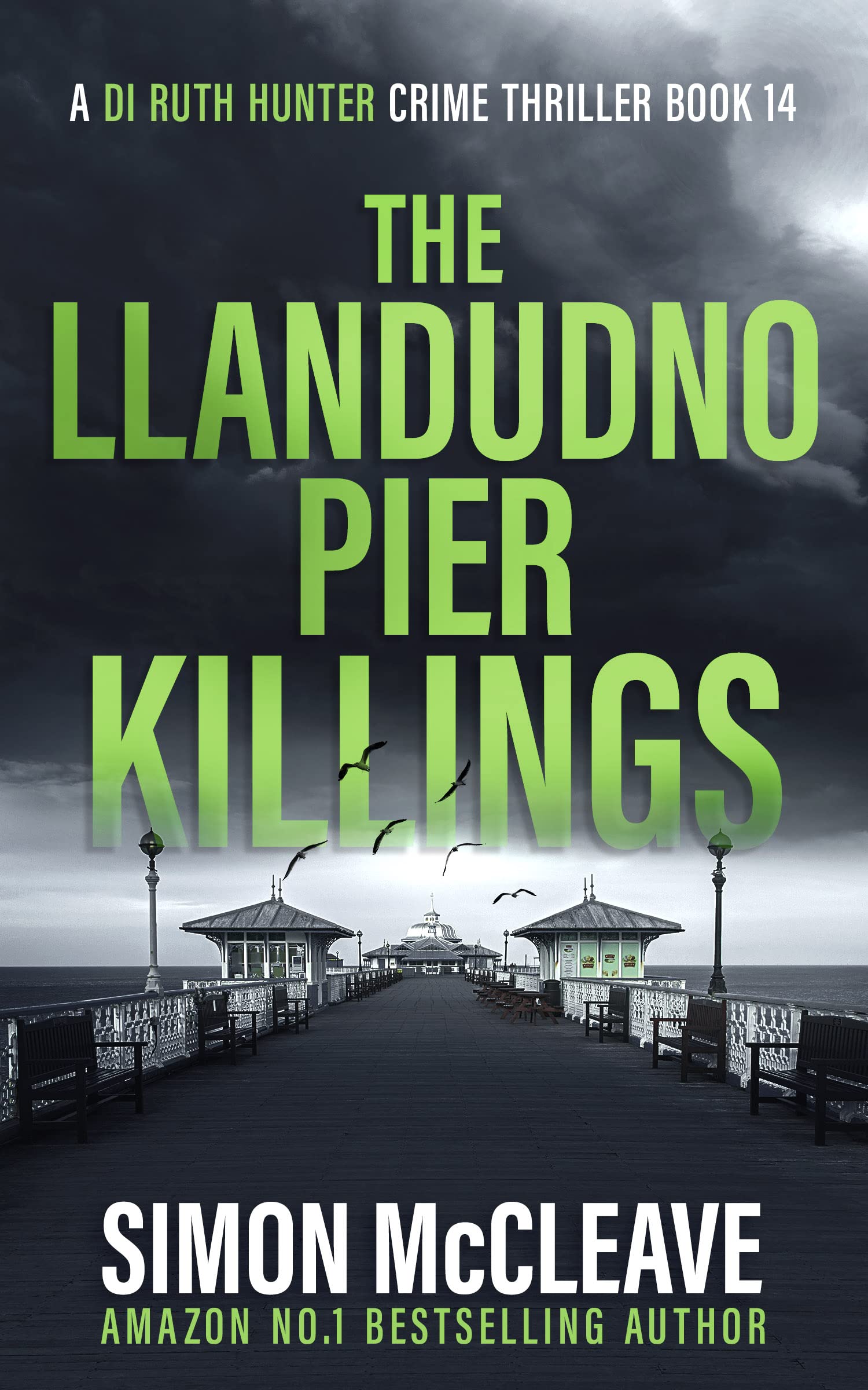 The Llandudno Pier Killings (DI Ruth Hunter #14)