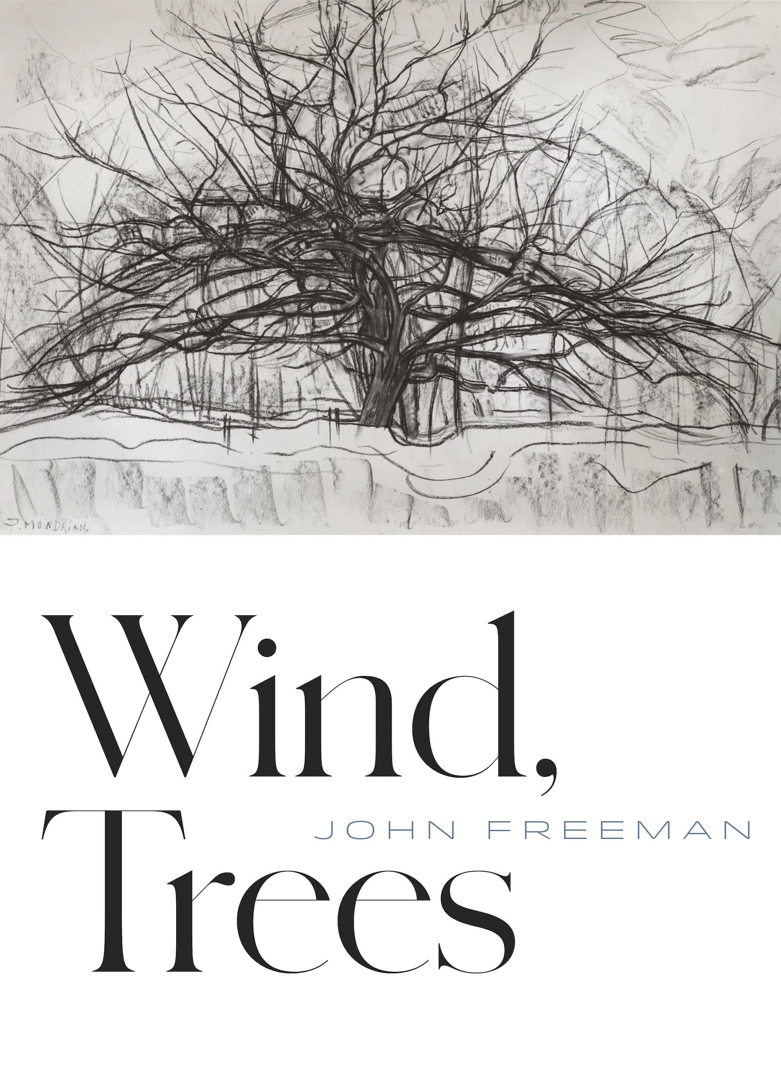 Wind, Trees (Paperback)