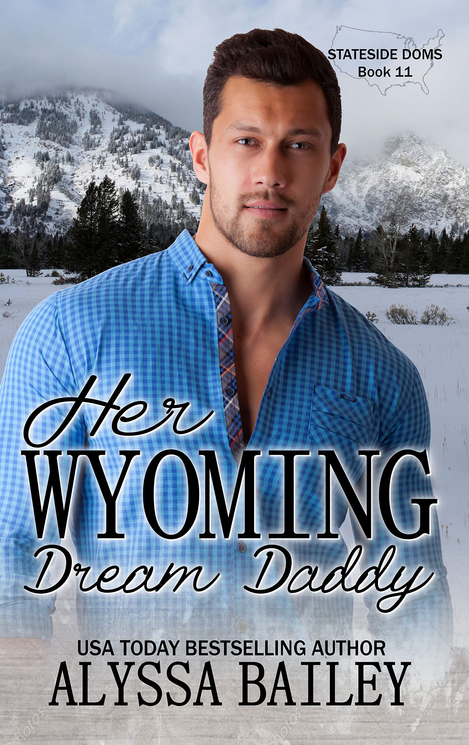 Her Wyoming Dream Daddy (Stateside Doms #11)